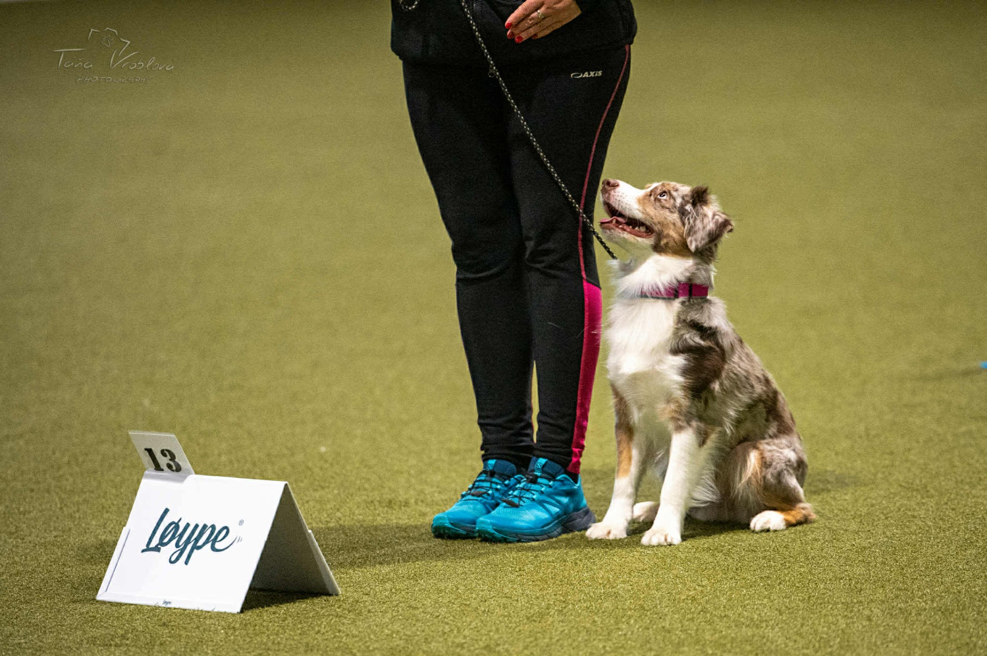 II. Mistrovství klubu Rally obedience Tachyon